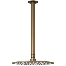 Clovelly 300mm Ceiling Shower Arm
